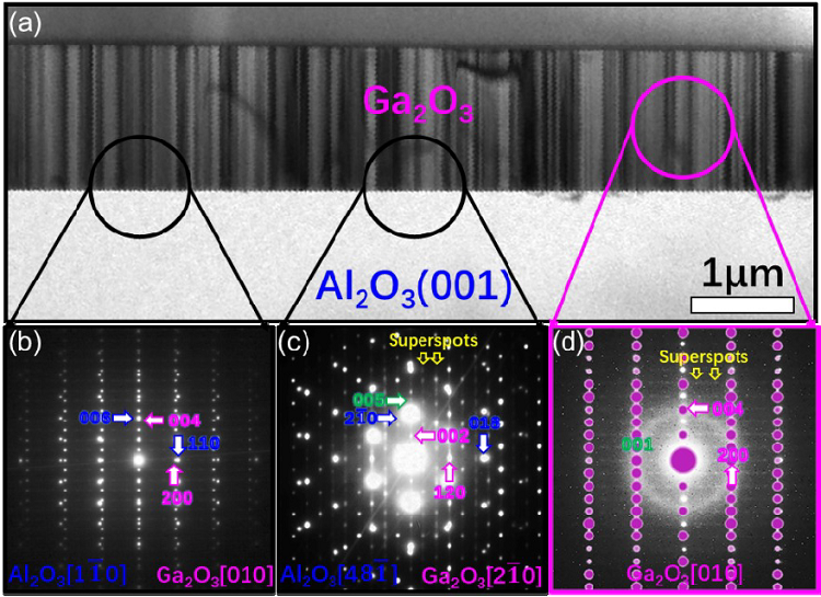 A review of the growth, doping, and applications of β-Ga<sub>2</sub>O<sub>3</sub> thin films