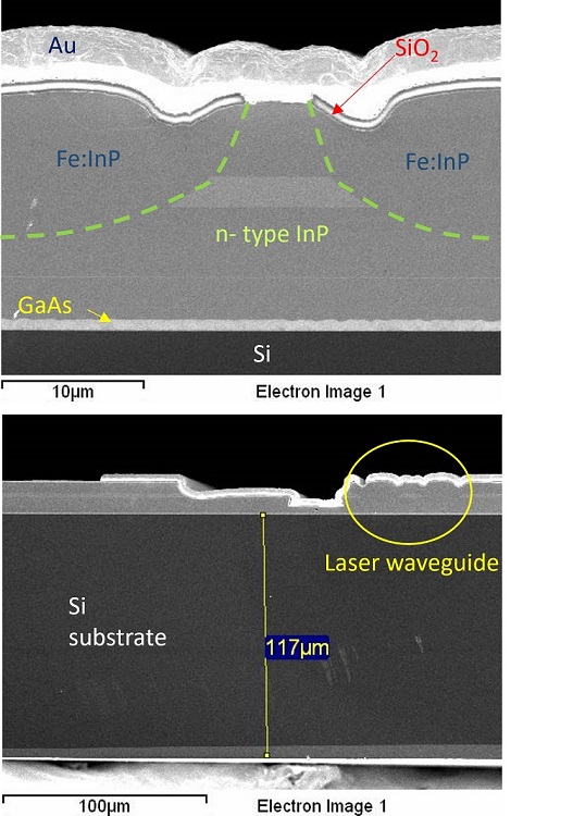 Room Temperature, Continuous Wave Quantum Cascade Laser Grown Directly on a Si Wafer
