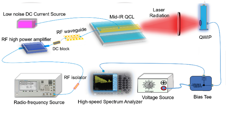 Harmonic injection locking of high-power mid-infrared quantum cascade lasers