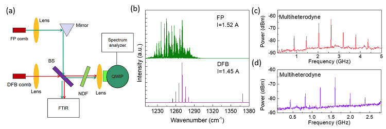 Room temperature continuous wave THz frequency comb based on quantum cascade lasers