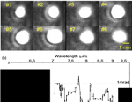 High performance monolithic, broadly tunable  mid-infrared quantum cascade lasers 