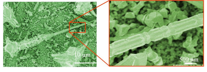 MOCVD Growth of ZnO Nanostructures Using Au Droplets as Catalysts