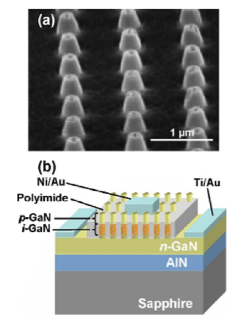 GaN nanostructured p-i-n photodiodes